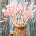 thumbnail image 4 of Natural Dried Bunny Tail Grass Real Flower Eternal Flower Lagurus Ovatus Dry Grass Dried Flowers Pampas Grass Bouquet Rabbit Tail Grass Stems forHome Decor and Fall Theme Decorati(Pink/Blue), 4 of 5