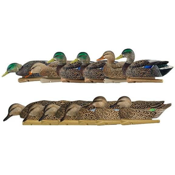 Avian X Topflight Mallard Duck, 6 Pack, & Early Season Teal Decoys, 6 Pack