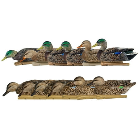Avian X Topflight Mallard Duck 6 Pack & Early Season Teal Decoys 6 Pack