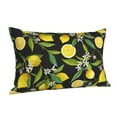 thumbnail image 2 of Disketp Pillow Covers Lemon Fruits Flowers Leaves Pattern Throw Pillow Case Cushion Covers,Cushion For Bedroom,Couch,Home-16"X24", 2 of 9