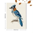 thumbnail image 3 of Blue Jay Wall Canvas Print, Wall Decor for Living Room Bedroom Office Hallway Dining Room Kitchen Home Decor, 3 of 8