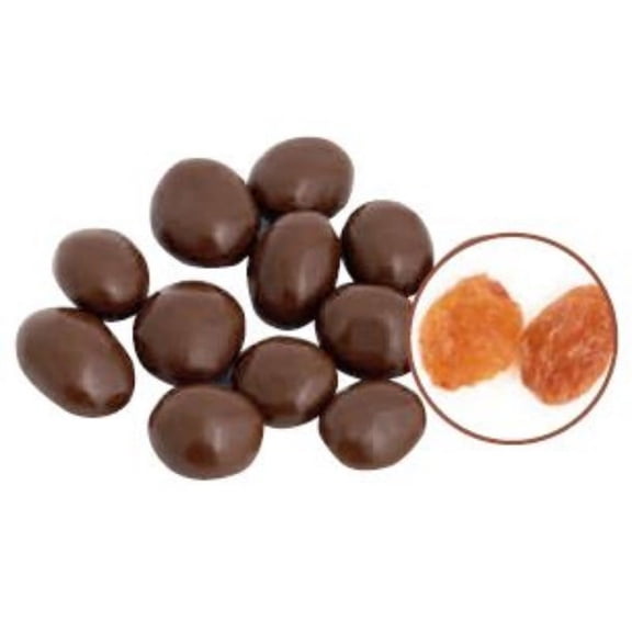 CHOCOLATE RAISINS WITH NO SUGAR