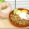 thumbnail image 4 of WEUVEB Cabaña Para Hámster Y Chinchilla Con Lavable Y Cute, 4 of 6