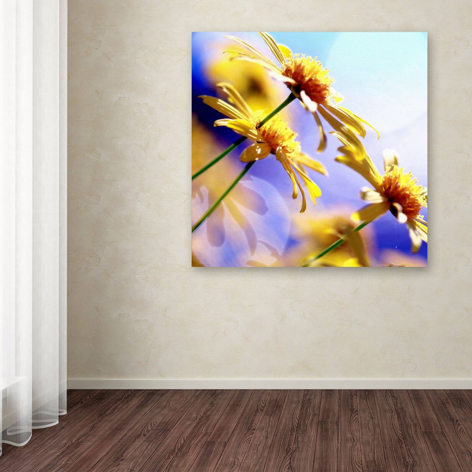 Trademark Fine Art "Sunny Days" Canvas Art by Beata Czyzowska Young