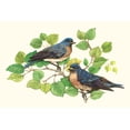 thumbnail image 2 of OToole, Tim 18x13 White Modern Wood Framed Museum Art Print Titled - Song Birds I, 2 of 4