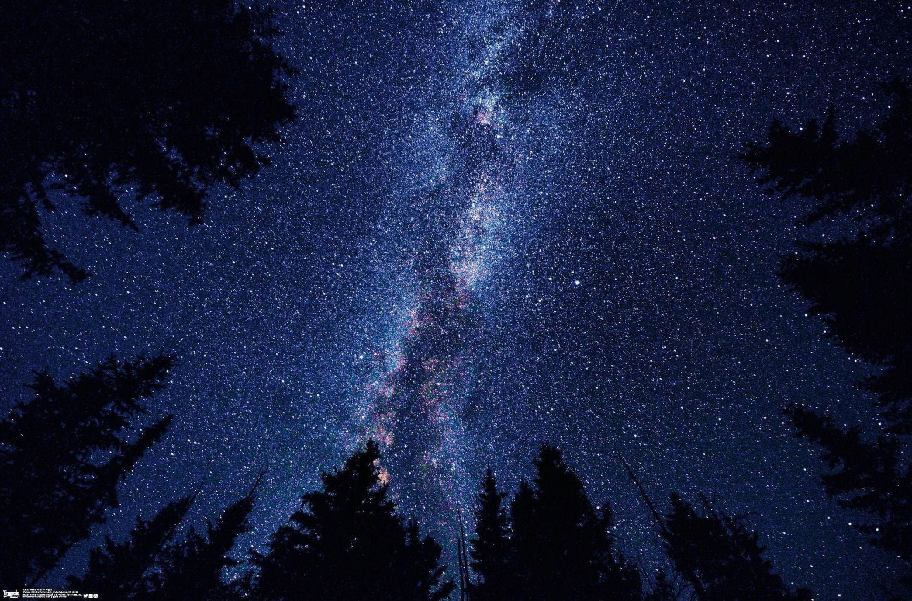 Milky Way At Night Wall Poster, 22.375" x 34"