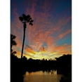 thumbnail image 2 of Laughton, Peter 12x14 Gold Ornate Wood Framed with Double Matting Museum Art Print Titled - Sunrise Palms, 2 of 4