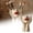 Beige 4.72*6.69*3.15in, variant on Women's Head Shape Boho Feminist Decoration, Minimalist Statue Storage Decor Face Makeup Brush Holder, Modern Statue Storage Makeup for Table Shelf Living Room Office (Beige 4.72 * 6.69 * 3.15in)