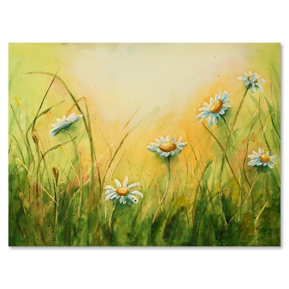 Designart ' Sunset Field With Herbs and Chamomiles ' Traditional Canvas Wall Art Print