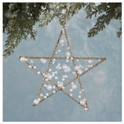 Bethany Lowe 5 Point Star Hawaii Ocean Gold Pearl Christmas Tree Ornament Decor