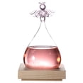 thumbnail image 1 of Weather Station, Home Decoration Weather Forecast Bottle Innovative Angel Decor Shape Weather Forecast Glass Bottle Home Ornament Gift, 1 of 8