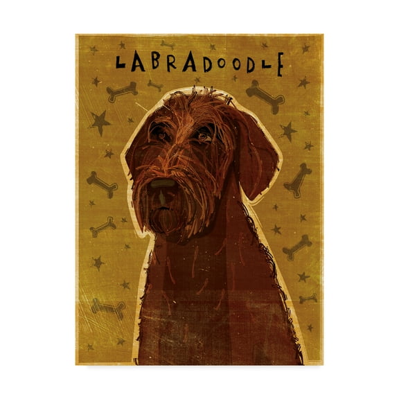 Trademark Fine Art 'Chocolate Labradoodle' Canvas Art by John W. Golden