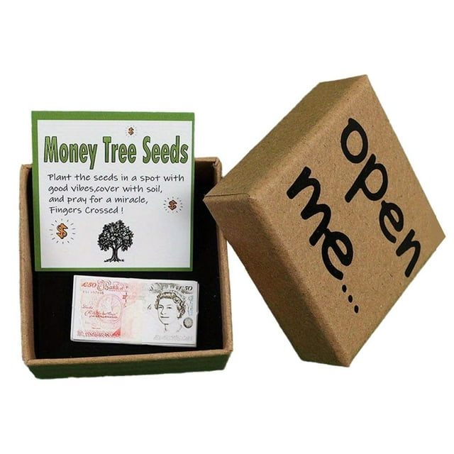 Money Tree Seeds Joke Gift Box, Teasing Gift Box Adult Fun Trick, Funny and Creative Novelty Present for Friends, Family, or Office Pranks