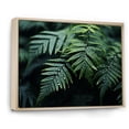 thumbnail image 2 of Designart "A Close Up Photo of Ferns III" Floral Floater Framed Wall Art Print, 2 of 7