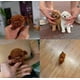 thumbnail image 5 of 2025 New Robot Dog for Adults, AI Robotic Dog, Nicoo - My Realistic Robot Puppy That Acts Like a Real Puppy - Walking, Barking, Tail Wagging, 5 of 5