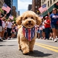 thumbnail image 5 of Dog Bandanas,Pet Neck Scarf for Cat & Small Dog | Triangle Independence Day Printed Dog Bandana | 4th of July Bandana for Festival Pet Photo Shoot,Outdoor Celebration, 5 of 7