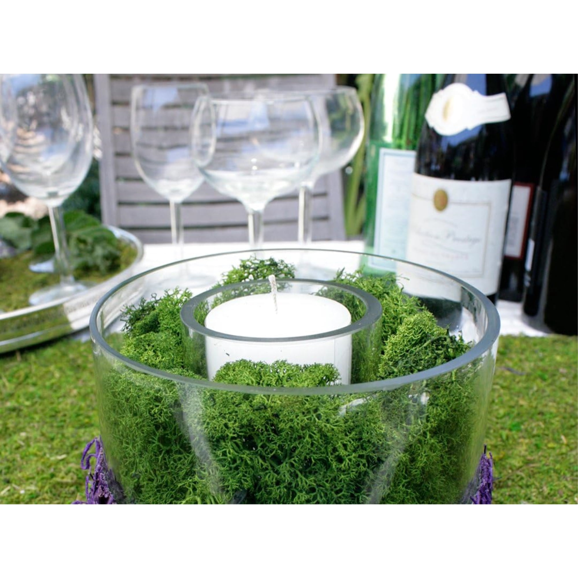 SuperMoss Preserved Reindeer Moss - 8oz.