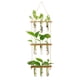 thumbnail image 1 of Tubos de Propagación de Plantas de 3 Niveles Mini Tubo de Ensayo Florero Maceta de Vidrio para Corte de Plantas Hidropónicas Hogar Jardín Decoración de Oficina Regalo ANGGREK  Otros, 1 of 8