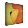 thumbnail image 2 of Trademark Fine Art 'Lion WOW' Canvas Art by Ryan Fowler, 2 of 3