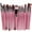 4-Pink (20pc), variant on 25pcs Makeup Brushes Set, Includes All Types of Face Brushes, Create an All-over Makeup Look