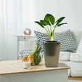 thumbnail image 2 of Large Modern Plant Pot with Drainage Holes for Indoor and Outdoor Plants Lightweight Self-Watering Planter for Home Office 27.2CM, 2 of 7