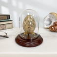 thumbnail image 2 of Plymor 3" x 4" Glass Display Dome Cloche (Dark Mahogany Veneer Base), 2 of 2