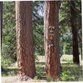 thumbnail image 1 of Old Man Tree Hugger Garden Peeker Escultura Tronco Decoración colgante Ojos grandes Resistente a la intemperie Navidad para patio al aire libre A 1pc LingWen 8390606716583, 1 of 1