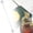 A, variant on Reusable Coffee Stirrers Stainless Mixing Sticks Bartender Stirrers With Sturdy Material Drink Accessory With Decorative Design Multi Function Tool For Drinks Mixing Bar(Coil Style)