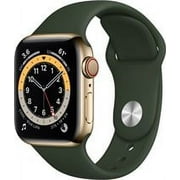 Apple Watch Series 6 GPS + Cellular, 40mm Gold Stainless Steel Case with Cyprus Green Sport Band - Regular