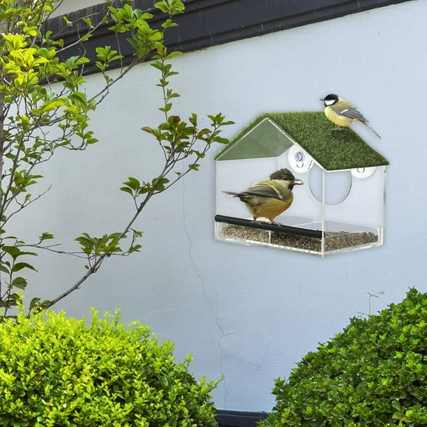 Essen Transparent Acrylique Fenêtre Mangeoire À Oiseaux Forte Ventouse  Suspendue Cage Maison 