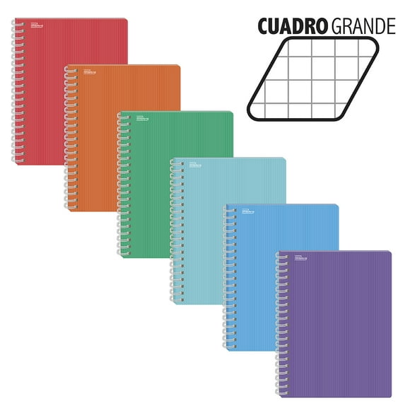 Cuadernos Profesional Espiral Cuadro Grande PRINTAFORM Multicolor 100 Hojas Caja Con 12 Libretas