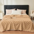 thumbnail image 1 of TIMIFIS Throw Blanket Thickened Solid Colour Pineapple Fleece Blanket Corals Fleece Sofa Cover Blanket Corals Fleece Gift Blanket Nap Blanket Fleece Blanket, 39X59 In, 1 of 7