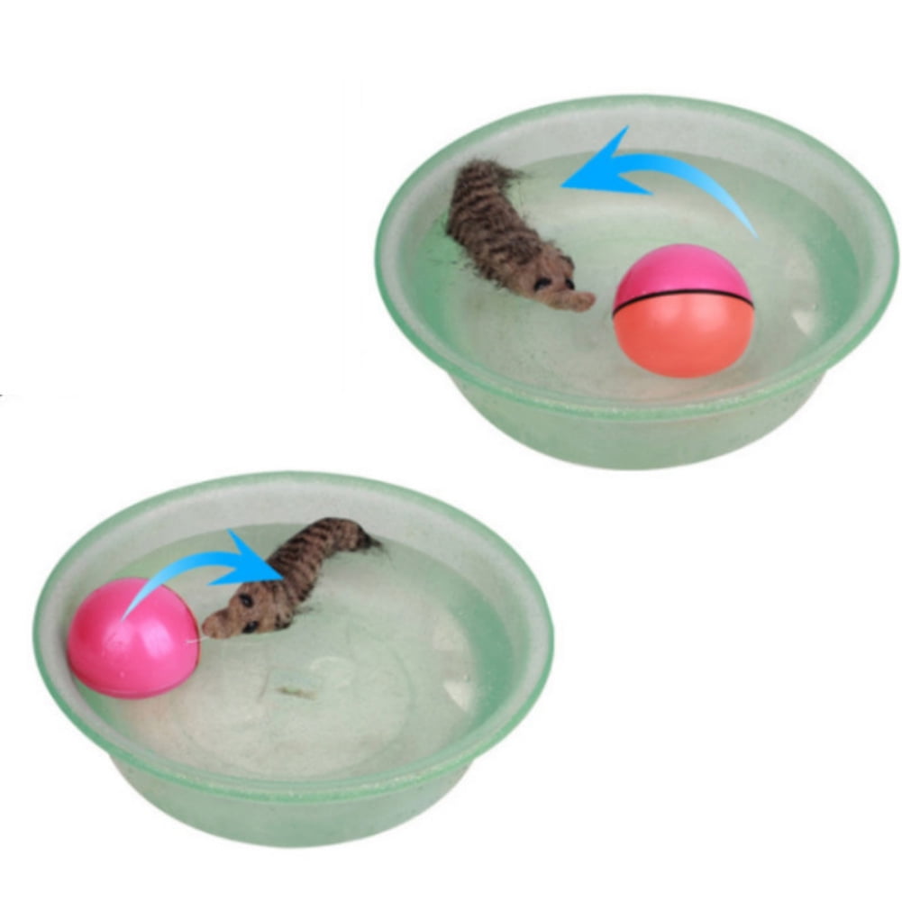 Pet Dog Cat Toy Weasel Motorized Funny Rolling Ball Beaver Balls pet toys  pet products cat accessories pet - Price history & Review, AliExpress  Seller - 188 Flowers Store