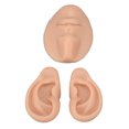 thumbnail image 4 of Display Nose Model, Elastic  Ear Model Portable  For Doctor For  Salon Light Skin Color,Medium Skin Color,Dark Skin Color, 4 of 8