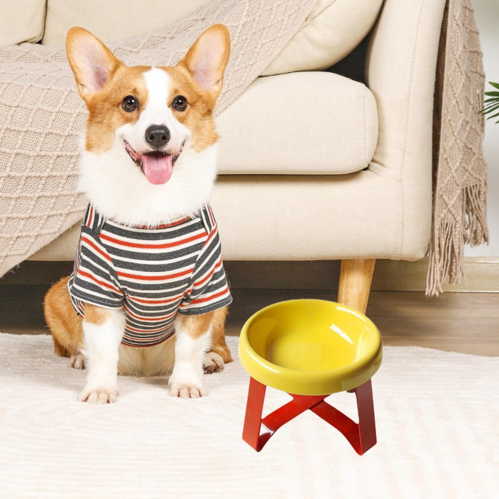 Serenable Cat Bowl Cat Food Dish with Metal Stand, Water Dispenser, Prevents Spills, Ceramic Pet Bowl for Small and Medium Breeds Puppy Yellow