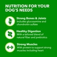 thumbnail image 5 of Iams Proactive Health Large Breed Adult Dry Dog Food With Real Chicken, 44 Lb. Bag, 5 of 12