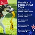 thumbnail image 4 of American Dog Bungee Bone – Durable Fetch & Tug Dog Toy Made in USA from Pet-Safe, Machine-Washable 1680 Nylon Ballistic Material for Bonding, Play Time, Mental Stimulation, Exercise, Training, & More, 4 of 5