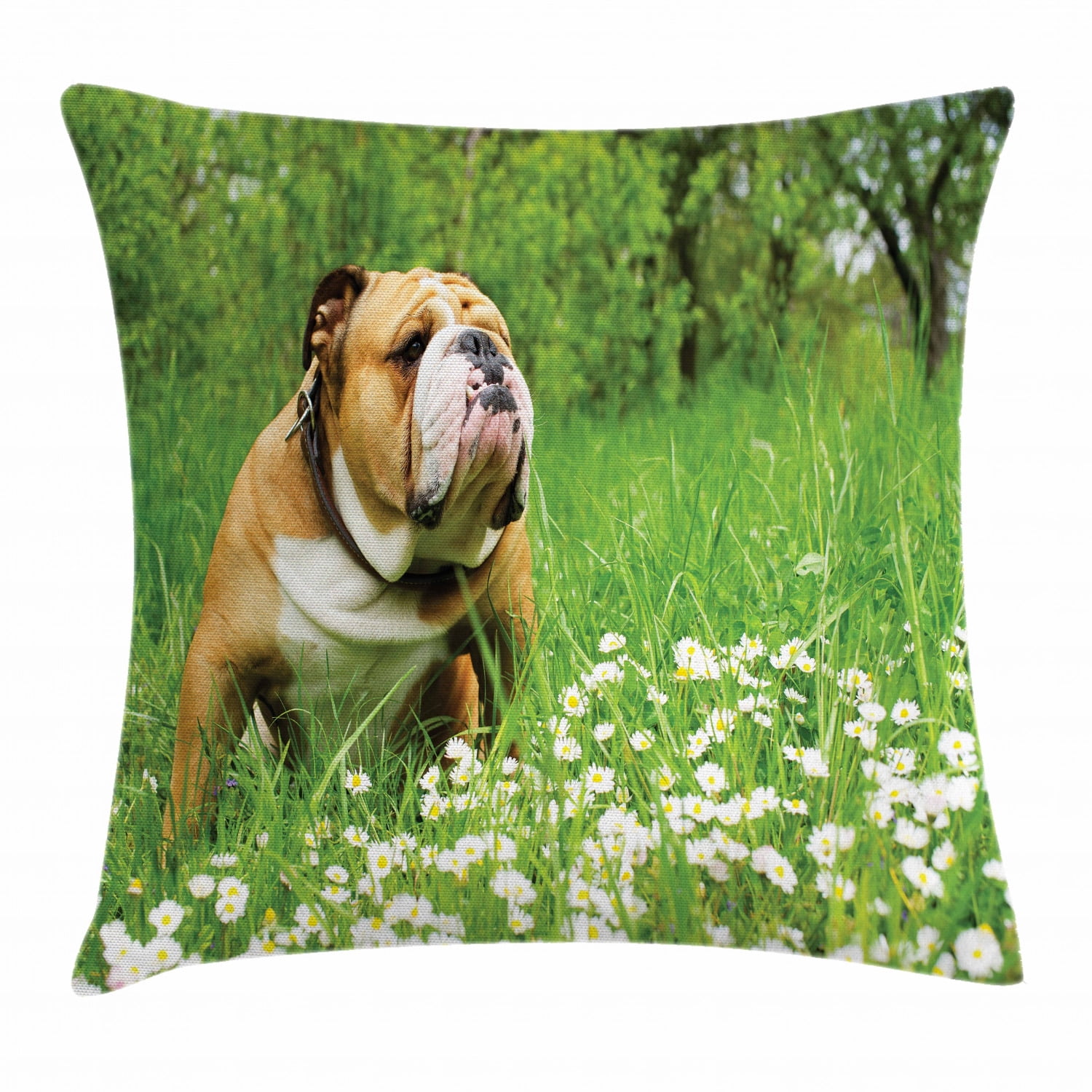 English Bulldog Throw Pillow Cushion Cover, Park in Spring with