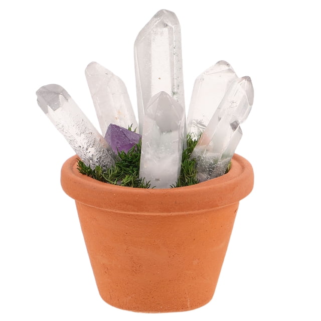Houderco Figurinas De Cristal Natural Para Decorar Oficinas Y Espacios Pequeños
