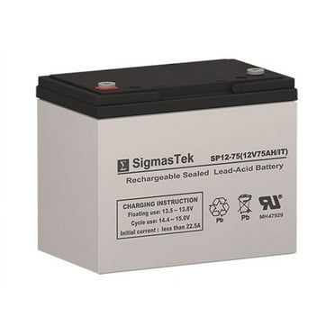 Bright Way Group BW EV-24 DC Battery (Replacement)