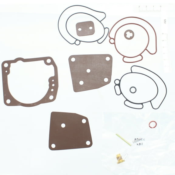 Sierra 18-7247 Carburetor Kit