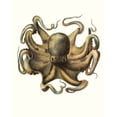 thumbnail image 2 of Unknown 26x32 Black Ornate Wood Framed with Double Matting Museum Art Print Titled - Antique Octopus Collection VII, 2 of 4