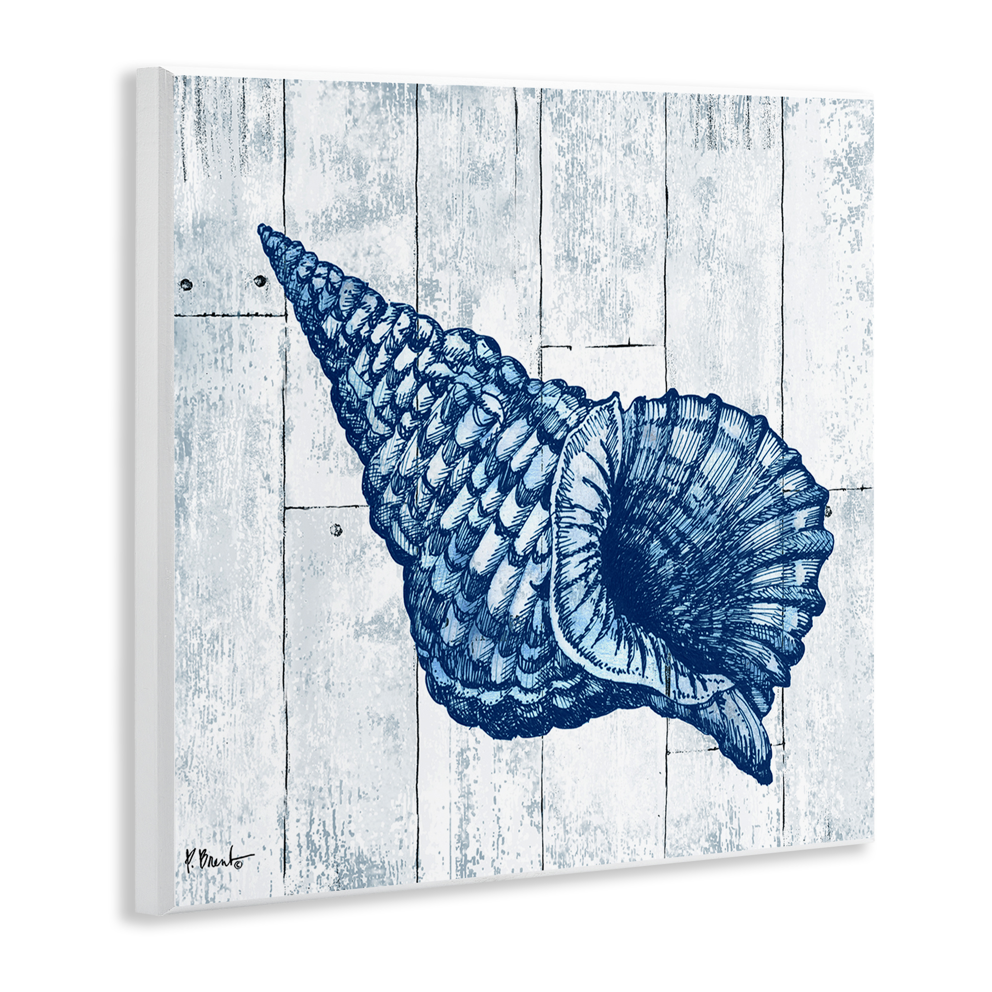 Stupell Industries Coastal Timberland Conch Wall Plaque Art, design by Paul Brent