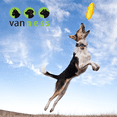 thumbnail image 2 of Juguete Frisbee De Plastico Van Ness Plastic frisbee, 2 of 2