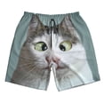 thumbnail image 3 of Uemuo Funny Cat Pattern Men's Swim Trunks Hawaiian Beach Bathing Suit Swimsuits Beach Quick-Dry Shorts with Pockets-Medium, 3 of 9