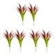 thumbnail image 4 of Matsuzay 2 paquetes/lote de plantas artificiales ecológicas combinadas de elegancia y frescura para el espacio vital Low Red Type1 NO1, 4 of 6