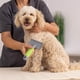 thumbnail image 3 of Cepillo de Alambre Wahl para Perros y Gatos Elimina Pelo Suelto y Suciedad, 3 of 3