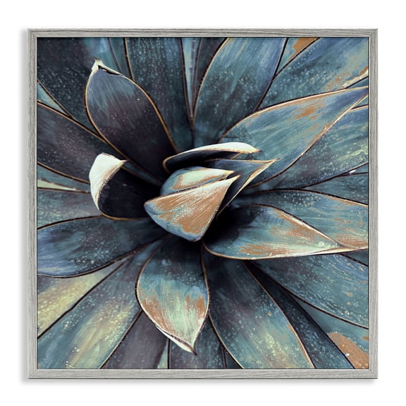 Stupell Industries Contemporary Modern Tropical Petals Gray Framed Giclee Art, 17 x 17, by Irena Orlov