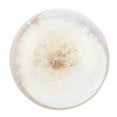 thumbnail image 4 of Shift Knob, Gear Shifter, Resin Resin Shift Knob, with 3 Thread Adpaters for Car Automobile, 4 of 7