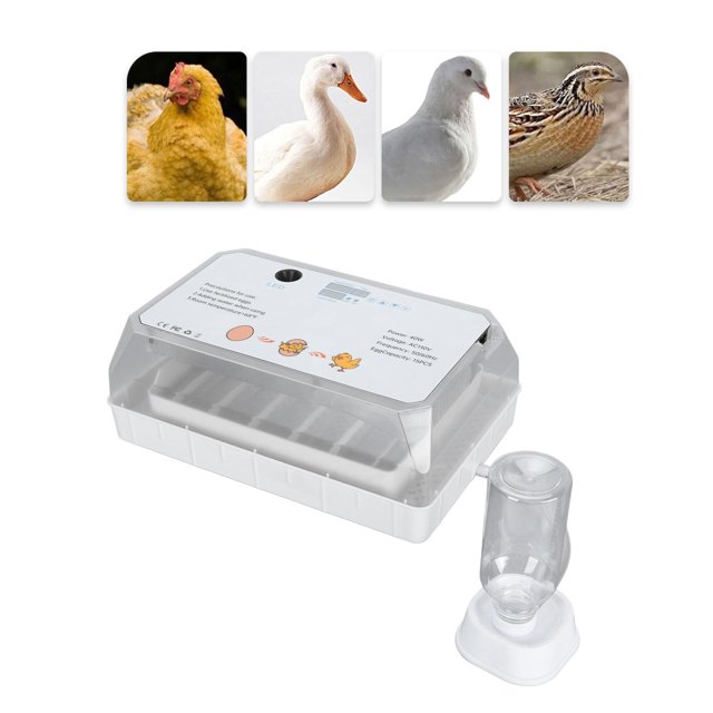 Máquina Para Incubar Aves De Corral, Control De Temperatura Incubadora De Huevos Multiusos Gran Capacidad Inteligente Automática Eficiente Para Pollo Para Ganso